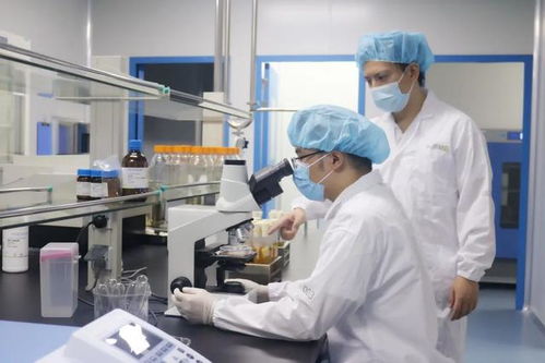 煉就一雙慧眼,寶山環(huán)上大科技園如何實(shí)現(xiàn) 1 到 10 的更快突破