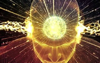 ssap挑戰人機互動科技巔峰 ai獨角獸崛起澳洲