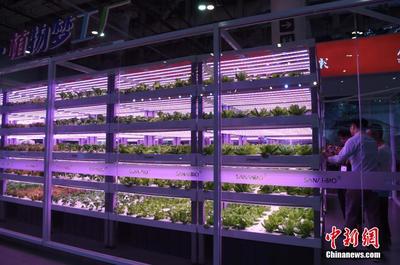 植物工廠亮相“廈洽會” 計(jì)算機(jī)系統(tǒng)集成服務(wù)助力現(xiàn)代農(nóng)業(yè)革新