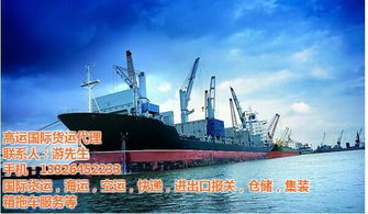 航海新絲路 從廣州黃埔到迪拜的海上國際貨物運(yùn)輸全景